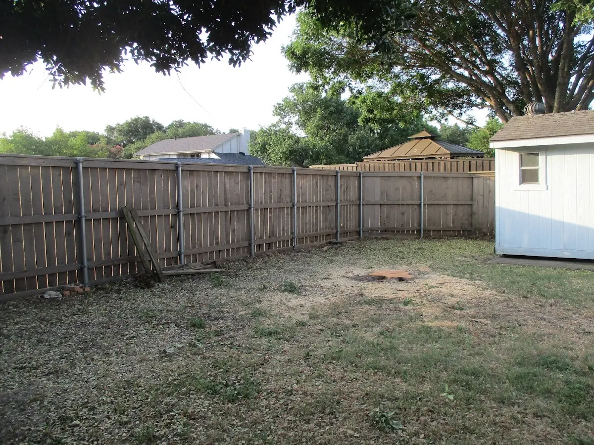 Cleared yard after professional tree removal in Prairie City